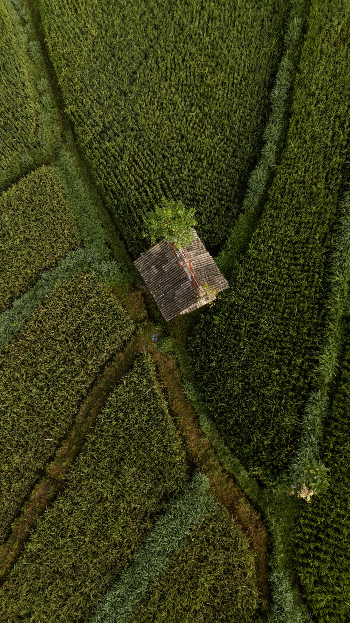 Destinations, Worldwide — photo 3
