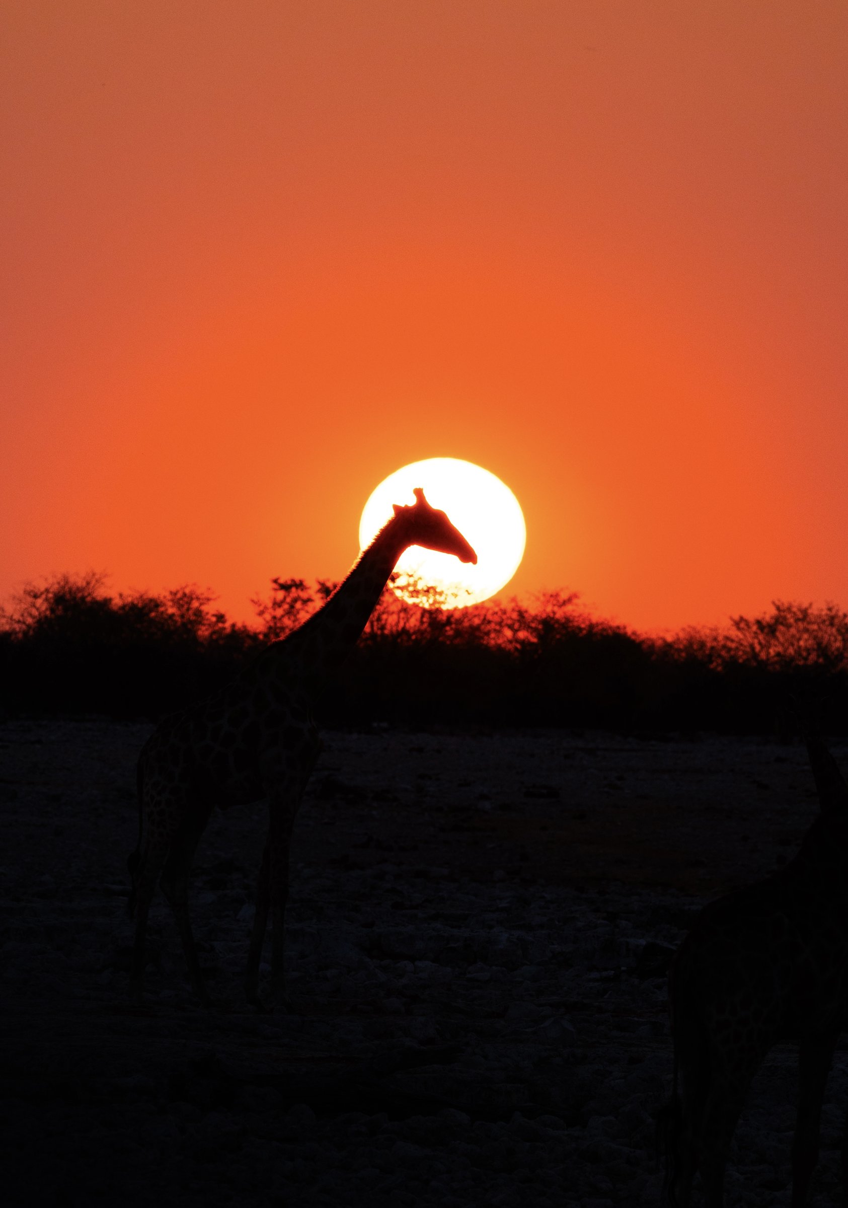 Destinations, Worldwide — photo 32