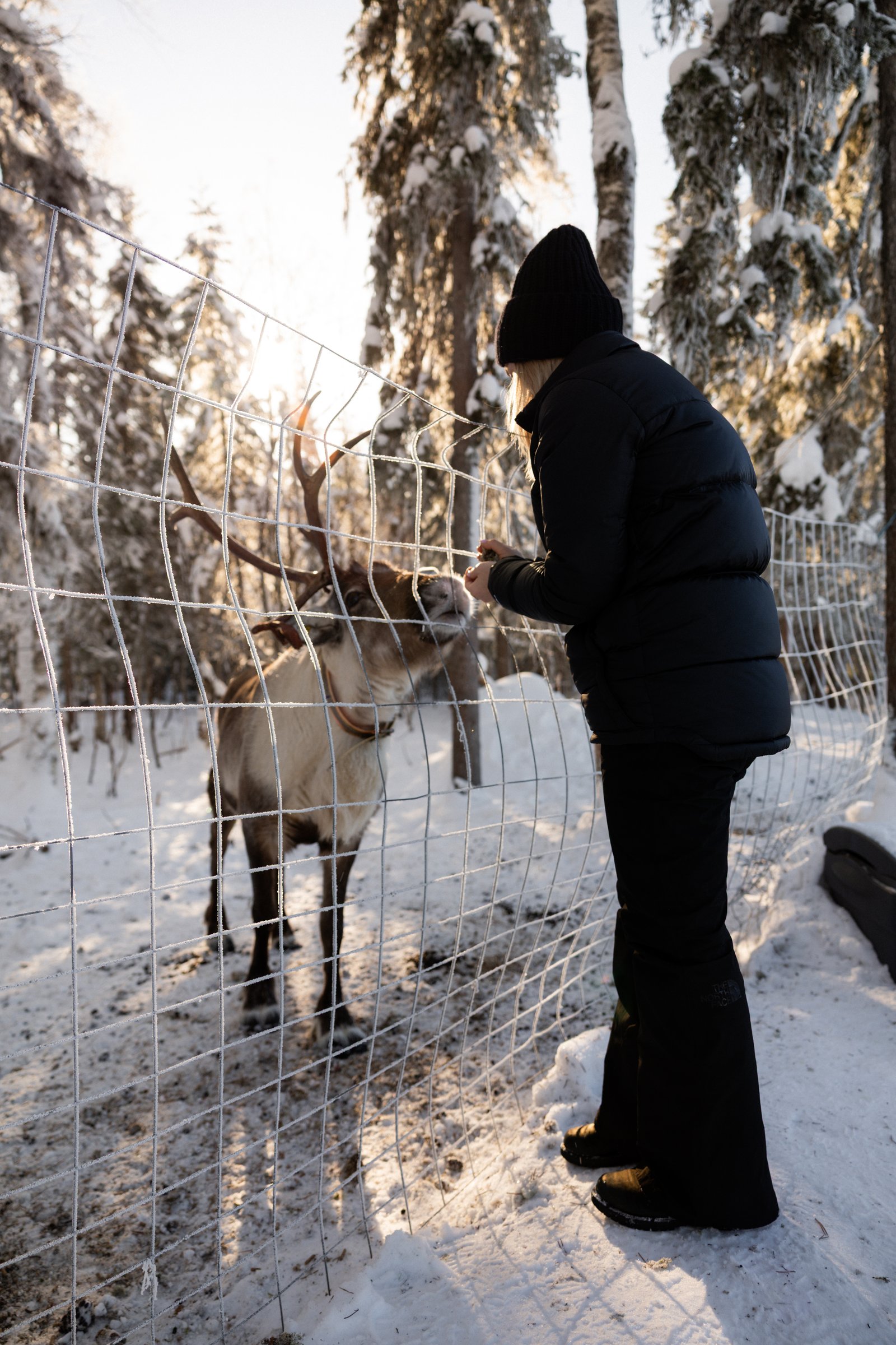Nova Galaxy Village, Rovaniemi, Finland — photo 6