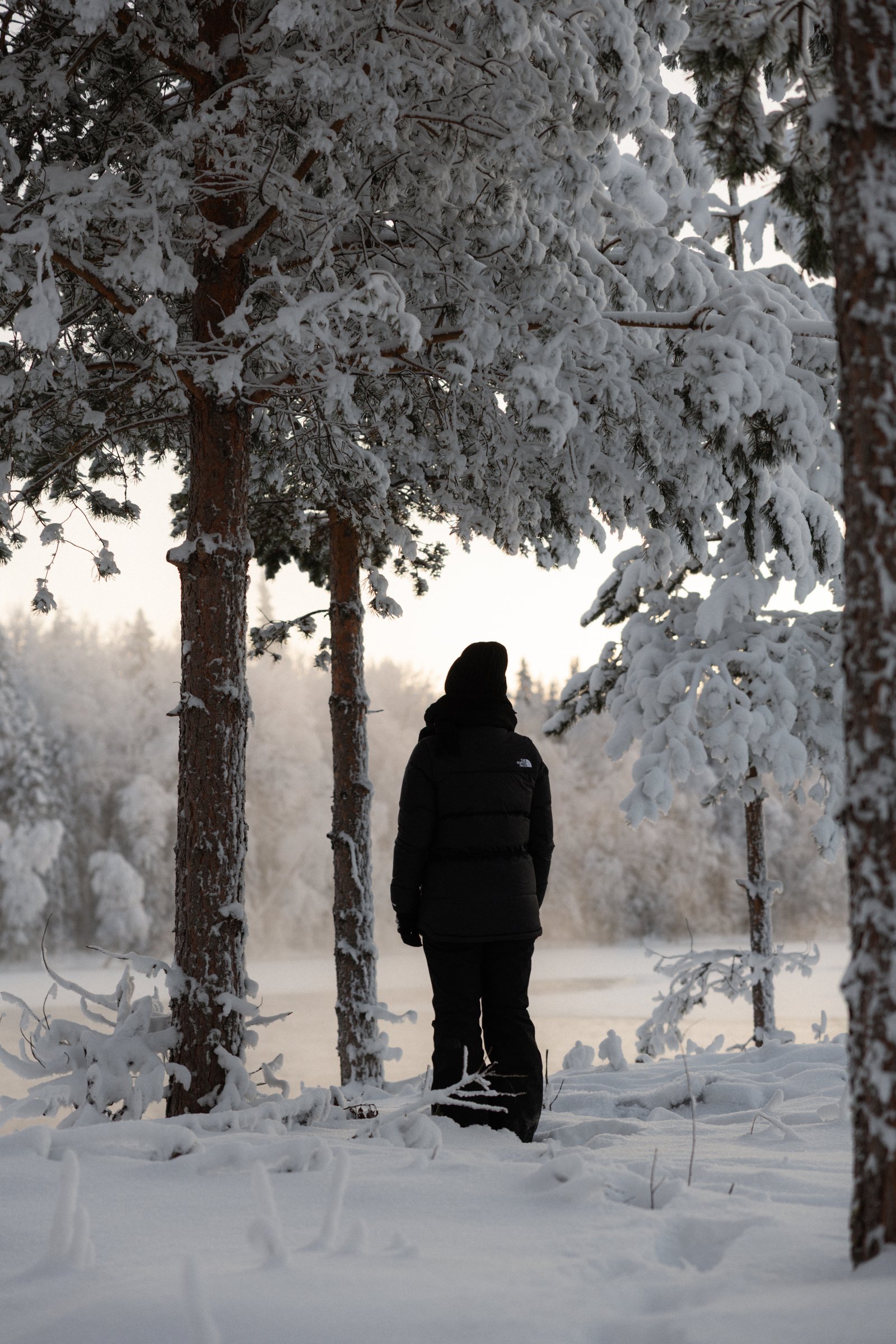 Vaattunki Wilderness Resort, Rovaniemi, Finland — photo 5